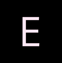 Enve logo